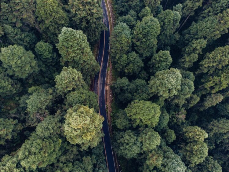 Vista aérea de una carretera de tierra atravesando la selva amazónica en Brasil, región de la ruta BR-319.