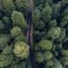 Vista aérea de una carretera de tierra atravesando la selva amazónica en Brasil, región de la ruta BR-319.