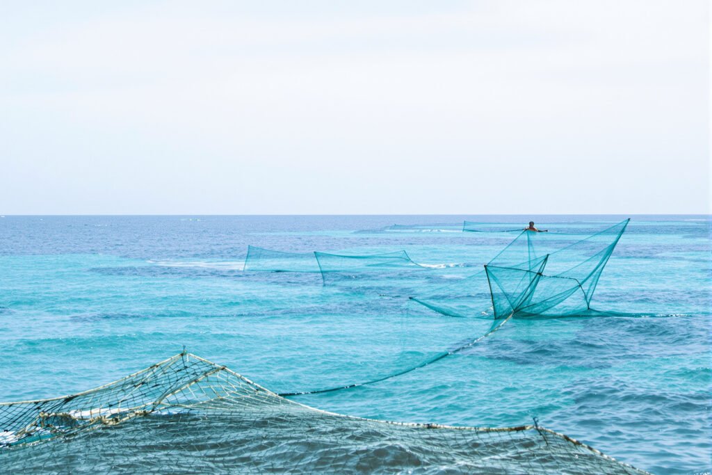 Redes de pesca artesanal en la costa del Pacífico colombiano, región donde la sobreexplotación amenaza especies clave.