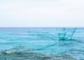 Redes de pesca artesanal en la costa del Pacífico colombiano, región donde la sobreexplotación amenaza especies clave.