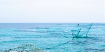 Redes de pesca artesanal en la costa del Pacífico colombiano, región donde la sobreexplotación amenaza especies clave.