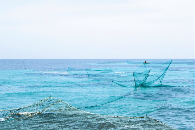 Redes de pesca artesanal en la costa del Pacífico colombiano, región donde la sobreexplotación amenaza especies clave.
