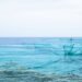 Redes de pesca artesanal en la costa del Pacífico colombiano, región donde la sobreexplotación amenaza especies clave.