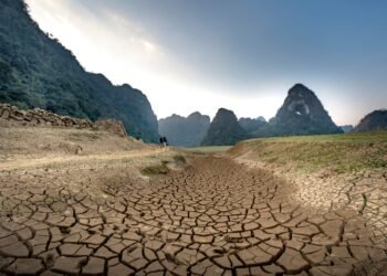 Paisaje de tierra agrietada por sequía extrema, símbolo del sobrepasamiento climático que advierte la ONU.