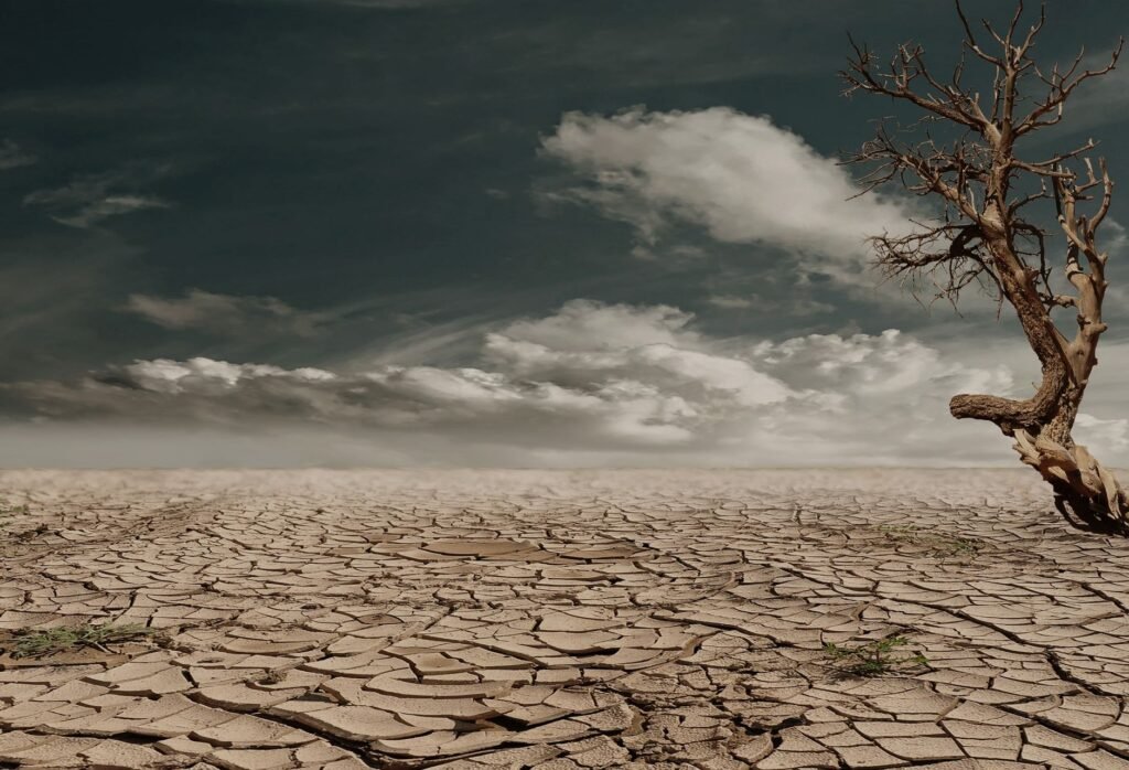 Tierra agrietada por sequía extrema bajo sol intenso, símbolo del impacto del súper El Niño.