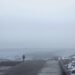 Laguna en invierno con niebla y agua calma al amanecer en la provincia de Buenos Aires.