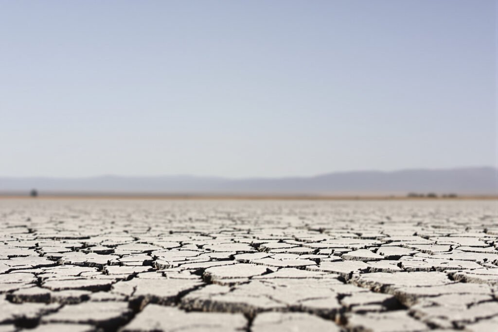 Suelo agrietado por sequía extrema en Europa durante el verano 2026, símbolo del calor que dejó más de 35.000 muertes.