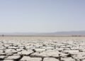Suelo agrietado por sequía extrema en Europa durante el verano 2026, símbolo del calor que dejó más de 35.000 muertes.