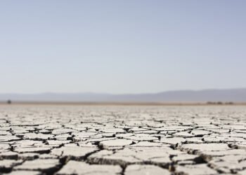 Suelo agrietado por sequía extrema en Europa durante el verano 2026, símbolo del calor que dejó más de 35.000 muertes.