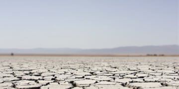 Suelo agrietado por sequía extrema en Europa durante el verano 2026, símbolo del calor que dejó más de 35.000 muertes.