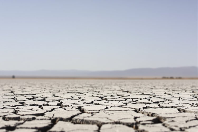 Suelo agrietado por sequía extrema en Europa durante el verano 2026, símbolo del calor que dejó más de 35.000 muertes.