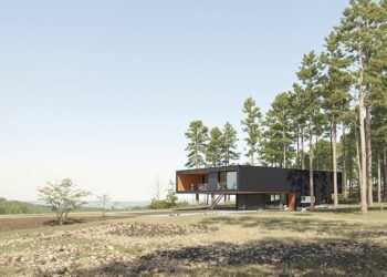 Conjunto de viviendas modernas integradas en un entorno boscoso, representando el proyecto de construcción sostenible en Dina