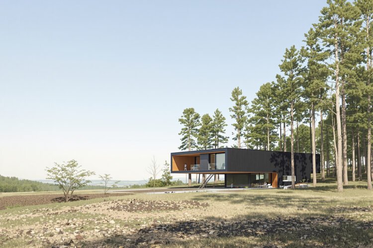 Conjunto de viviendas modernas integradas en un entorno boscoso, representando el proyecto de construcción sostenible en Dina