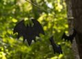 Murciélago en vuelo nocturno en bosque tropical, representando la biodiversidad de mamíferos de Honduras.