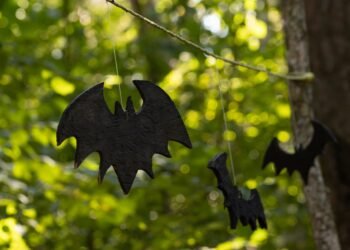 Murciélago en vuelo nocturno en bosque tropical, representando la biodiversidad de mamíferos de Honduras.