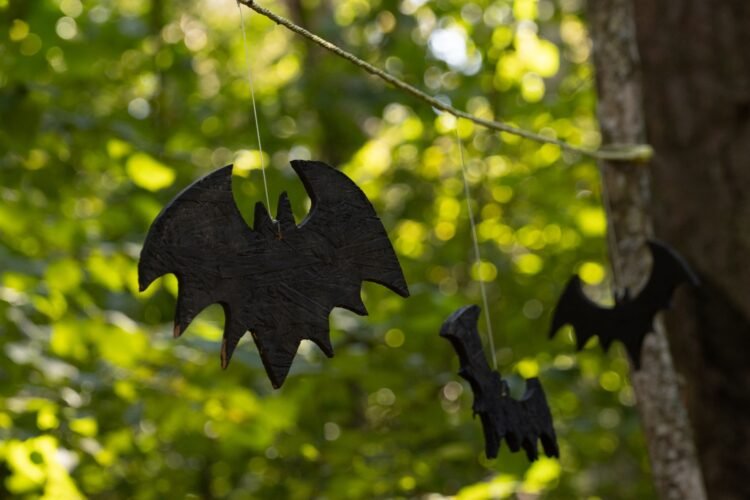 Murciélago en vuelo nocturno en bosque tropical, representando la biodiversidad de mamíferos de Honduras.