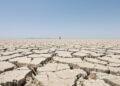 Tierra agrietada por la sequía en Centroamérica, una de las regiones más afectadas por El Niño 2026-2027.