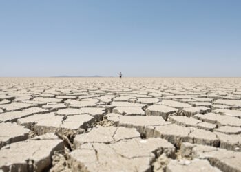 Tierra agrietada por la sequía en Centroamérica, una de las regiones más afectadas por El Niño 2026-2027.