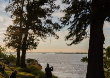 Rosario debe reconocer a la Naturaleza como Sujeto de Derechos