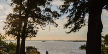 Rosario debe reconocer a la Naturaleza como Sujeto de Derechos
