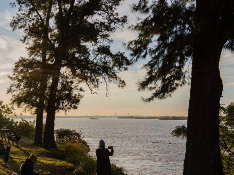 Rosario debe reconocer a la Naturaleza como Sujeto de Derechos