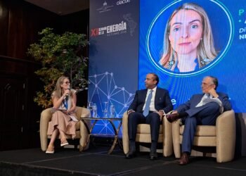 Ana Carolina González: “Bajar los estándares socioambientales para atraer inversión es falso”