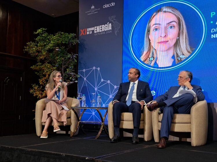 Ana Carolina González: “Bajar los estándares socioambientales para atraer inversión es falso”