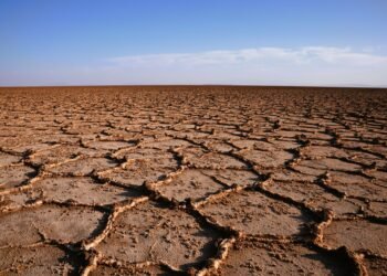 Tierra agrietada por la sequía en paisaje africano, símbolo de la vulnerabilidad climática del continente.