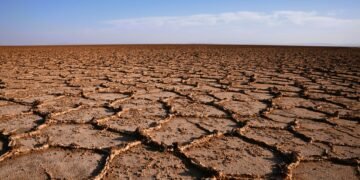 Tierra agrietada por la sequía en paisaje africano, símbolo de la vulnerabilidad climática del continente.