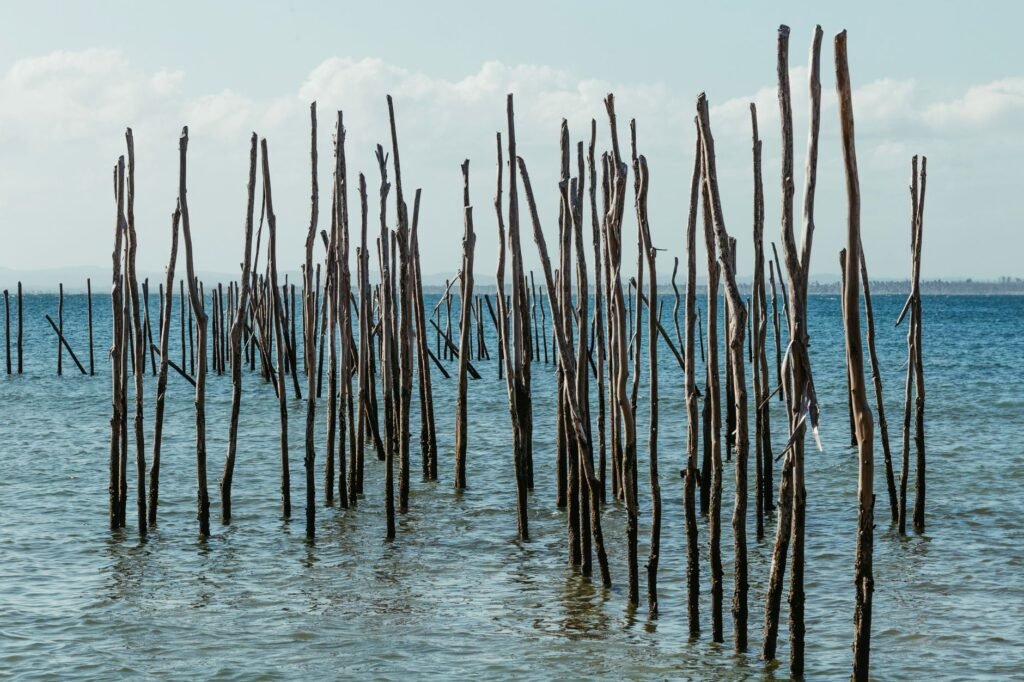 Estructuras de bambú entrelazadas en zona costera, parte de sistema de defensa natural contra inundaciones en Filipinas.