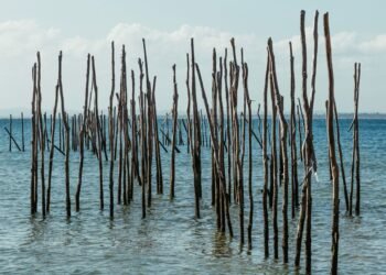 Estructuras de bambú entrelazadas en zona costera, parte de sistema de defensa natural contra inundaciones en Filipinas.