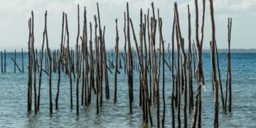 Estructuras de bambú entrelazadas en zona costera, parte de sistema de defensa natural contra inundaciones en Filipinas.