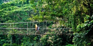 Bosque tropical colombiano bajo la niebla, uno de los ecosistemas más biodiversos del planeta.