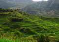 Terrazas de arroz en las montañas de Luzón, Filipinas, región afectada por proyectos de infraestructura tecnológica.