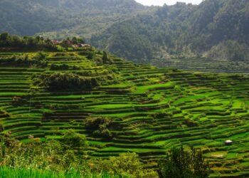 Terrazas de arroz en las montañas de Luzón, Filipinas, región afectada por proyectos de infraestructura tecnológica.