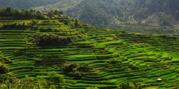Terrazas de arroz en las montañas de Luzón, Filipinas, región afectada por proyectos de infraestructura tecnológica.