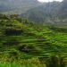 Terrazas de arroz en las montañas de Luzón, Filipinas, región afectada por proyectos de infraestructura tecnológica.