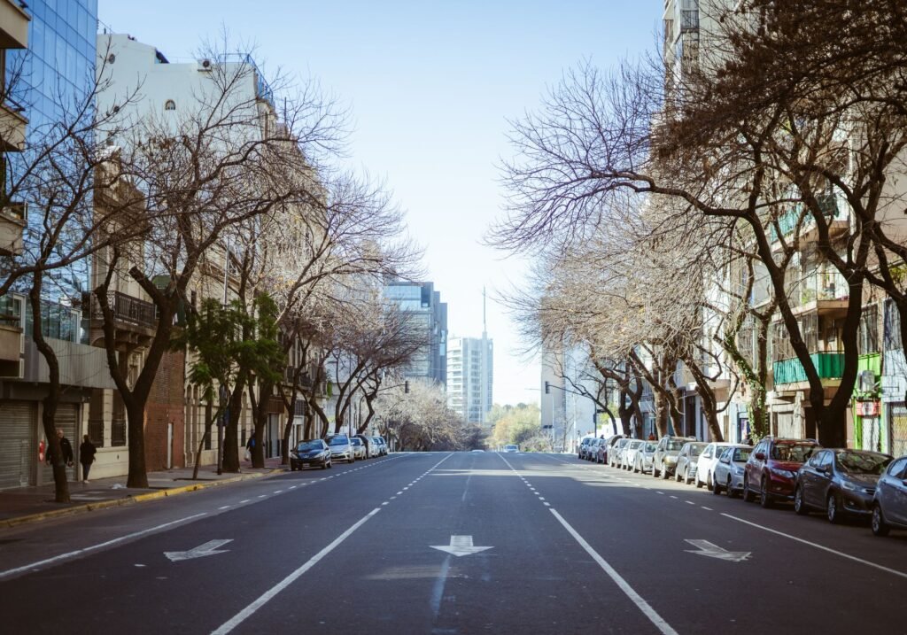 Árboles urbanos en suelo reseco durante sequía en calle de ciudad mediterránea.