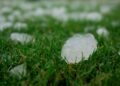 Tres tornados golpearon Arizona con granizo del tamaño de pelotas de golf