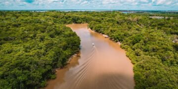 Vista aérea del río Lawa en la Amazonía de Surinam, territorio ancestral de la comunidad Wayana.