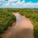 Vista aérea del río Lawa en la Amazonía de Surinam, territorio ancestral de la comunidad Wayana.
