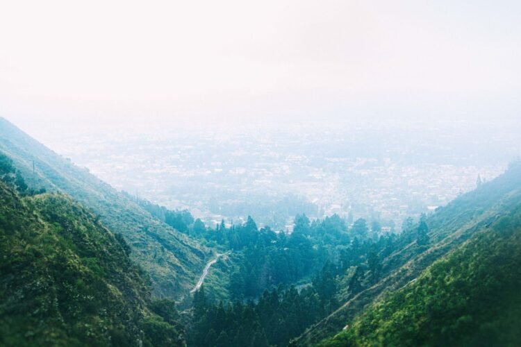 Bosque de montaña en las laderas de un volcán, similar al Pico de Orizaba donde comunidades restauran la cuenca del río Jamap