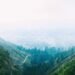 Bosque de montaña en las laderas de un volcán, similar al Pico de Orizaba donde comunidades restauran la cuenca del río Jamap
