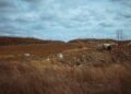 Montañas de residuos industriales acumulados en un paisaje árido, representando la contaminación por fracking en Vaca Muerta.