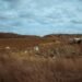 Montañas de residuos industriales acumulados en un paisaje árido, representando la contaminación por fracking en Vaca Muerta.
