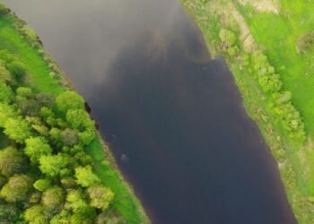 Vista aérea de bosque tropical atravesado por río, ecosistema que la ONU busca proteger con las metas 2030.