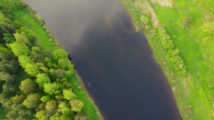 Vista aérea de bosque tropical atravesado por río, ecosistema que la ONU busca proteger con las metas 2030.