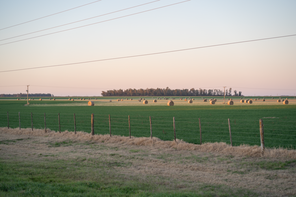 Paisaje de campo productivo en Argentina, donde rigen nuevamente los límites a la compra de tierras por extranjeros.