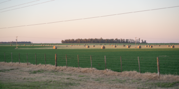 Paisaje de campo productivo en Argentina, donde rigen nuevamente los límites a la compra de tierras por extranjeros.