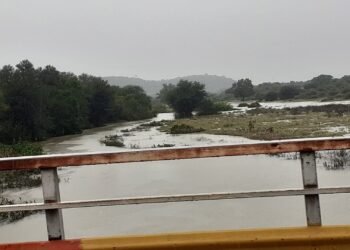 Viviendas ribereñas rodeadas de agua durante una crecida fluvial en el Litoral argentino.